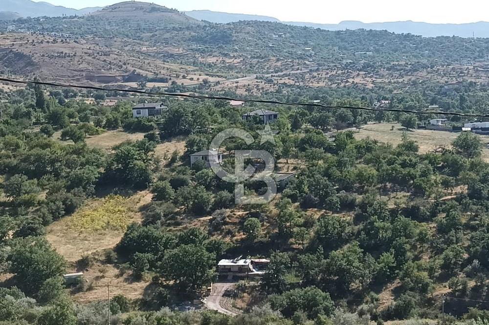 CB ZENİTH / HİSARCIK-BAHÇELİEVLER KIZILTEPE MEVKİİNDE İMARA 150 M. MESAFEDE ERCİYES MANZARALI BAĞ