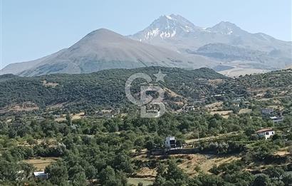 CB ZENİTH / HİSARCIK-BAHÇELİEVLER KIZILTEPE MEVKİİNDE İMARA 150 M. MESAFEDE ERCİYES MANZARALI BAĞ
