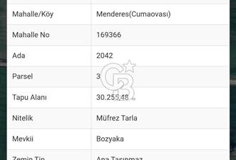 İZMİR MENDERES'TE SATILIK TARLA