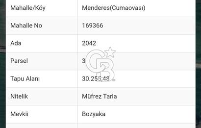 İZMİR MENDERES'TE SATILIK TARLA