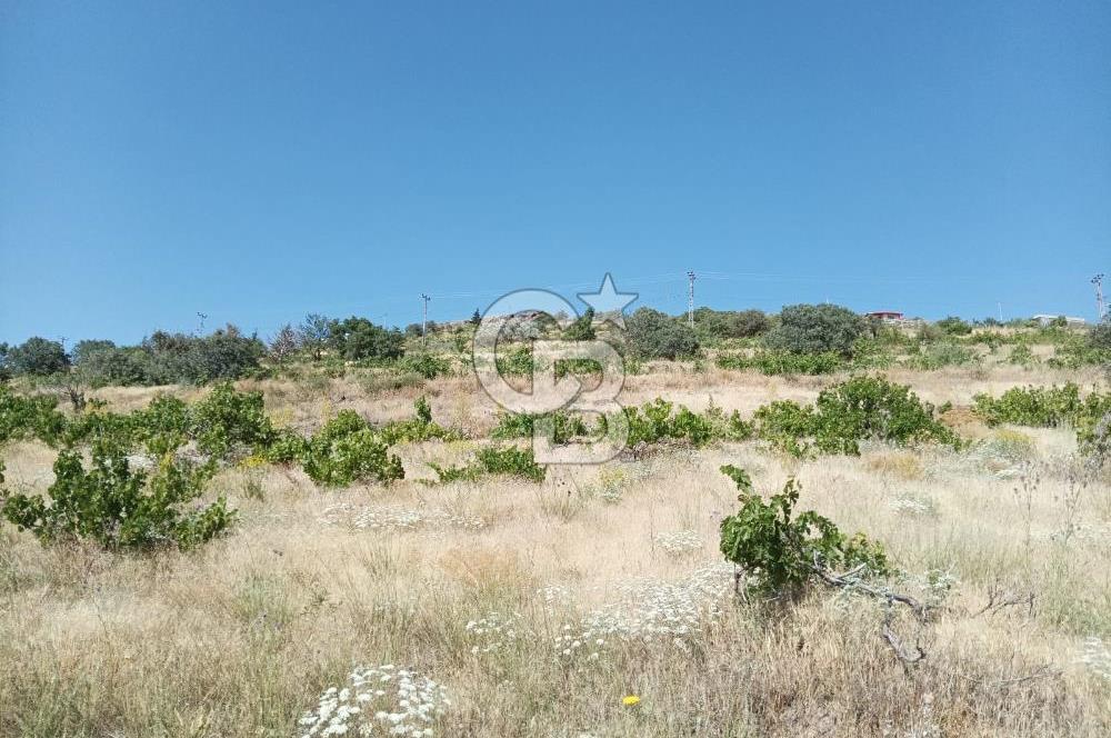 CB ZENİTH / HİSARCIK-BAHÇELİEVLER KIZILTEPE MEVKİİNDE İMARA 150 M. MESAFEDE ERCİYES MANZARALI BAĞ