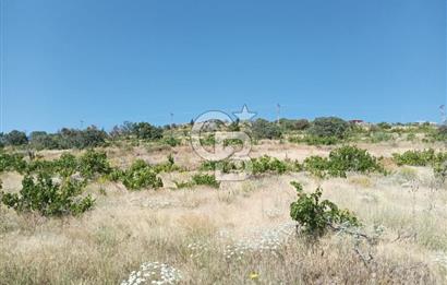 CB ZENİTH / HİSARCIK-BAHÇELİEVLER KIZILTEPE MEVKİİNDE İMARA 150 M. MESAFEDE ERCİYES MANZARALI BAĞ