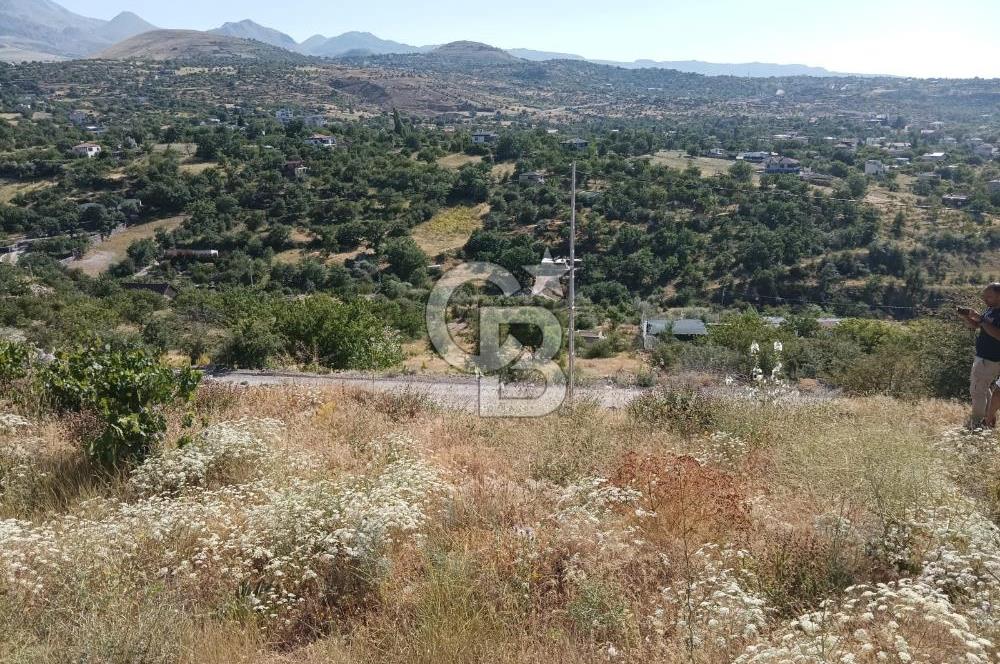 CB ZENİTH / HİSARCIK-BAHÇELİEVLER KIZILTEPE MEVKİİNDE İMARA 150 M. MESAFEDE ERCİYES MANZARALI BAĞ