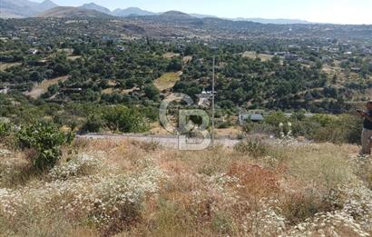 CB ZENİTH / HİSARCIK-BAHÇELİEVLER KIZILTEPE MEVKİİNDE İMARA 150 M. MESAFEDE ERCİYES MANZARALI BAĞ