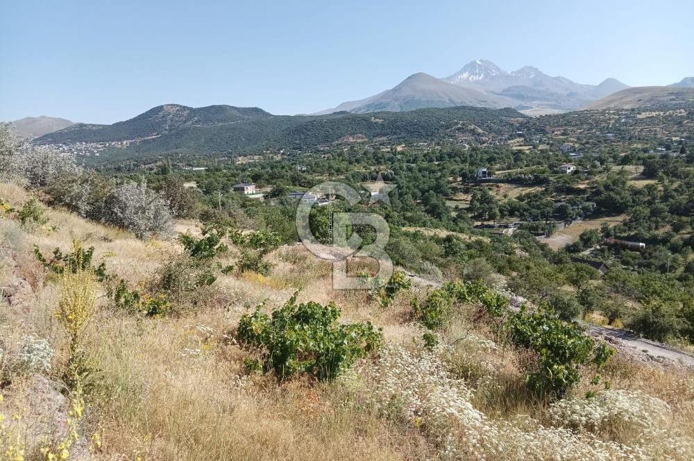 CB ZENİTH / HİSARCIK-BAHÇELİEVLER KIZILTEPE MEVKİİNDE İMARA 150 M. MESAFEDE ERCİYES MANZARALI BAĞ
