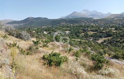 CB ZENİTH / HİSARCIK-BAHÇELİEVLER KIZILTEPE MEVKİİNDE İMARA 150 M. MESAFEDE ERCİYES MANZARALI BAĞ
