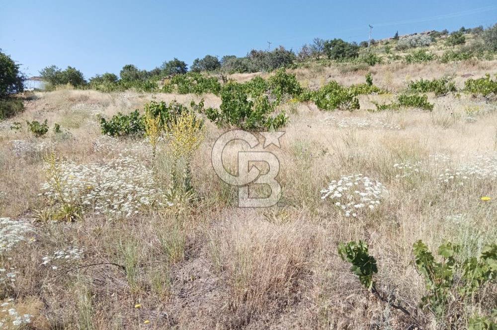 CB ZENİTH / HİSARCIK-BAHÇELİEVLER KIZILTEPE MEVKİİNDE İMARA 150 M. MESAFEDE ERCİYES MANZARALI BAĞ