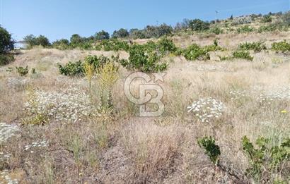 CB ZENİTH / HİSARCIK-BAHÇELİEVLER KIZILTEPE MEVKİİNDE İMARA 150 M. MESAFEDE ERCİYES MANZARALI BAĞ