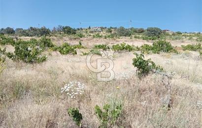 CB ZENİTH / HİSARCIK-BAHÇELİEVLER KIZILTEPE MEVKİİNDE İMARA 150 M. MESAFEDE ERCİYES MANZARALI BAĞ