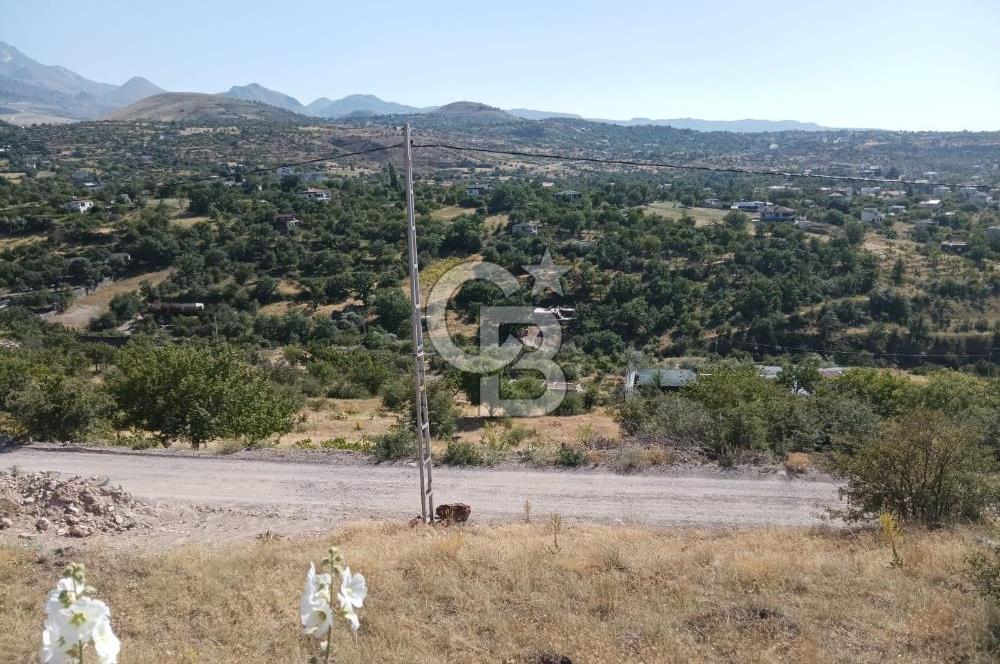 CB ZENİTH / HİSARCIK-BAHÇELİEVLER KIZILTEPE MEVKİİNDE İMARA 150 M. MESAFEDE ERCİYES MANZARALI BAĞ