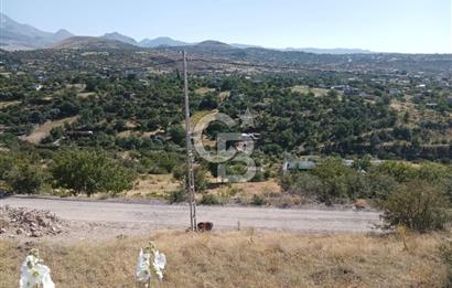 CB ZENİTH / HİSARCIK-BAHÇELİEVLER KIZILTEPE MEVKİİNDE İMARA 150 M. MESAFEDE ERCİYES MANZARALI BAĞ