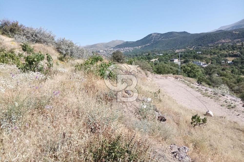 CB ZENİTH / HİSARCIK-BAHÇELİEVLER KIZILTEPE MEVKİİNDE İMARA 150 M. MESAFEDE ERCİYES MANZARALI BAĞ