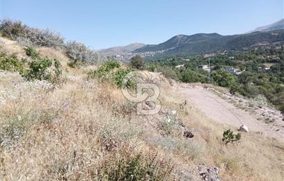 CB ZENİTH / HİSARCIK-BAHÇELİEVLER KIZILTEPE MEVKİİNDE İMARA 150 M. MESAFEDE ERCİYES MANZARALI BAĞ