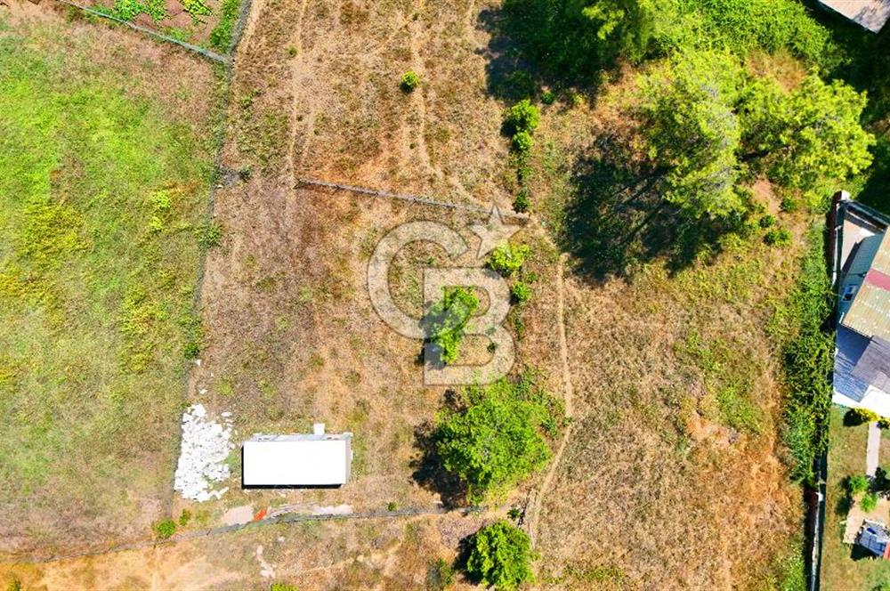 Marmaris Değirmenyanı'nda Satılık 558 m² Tarla