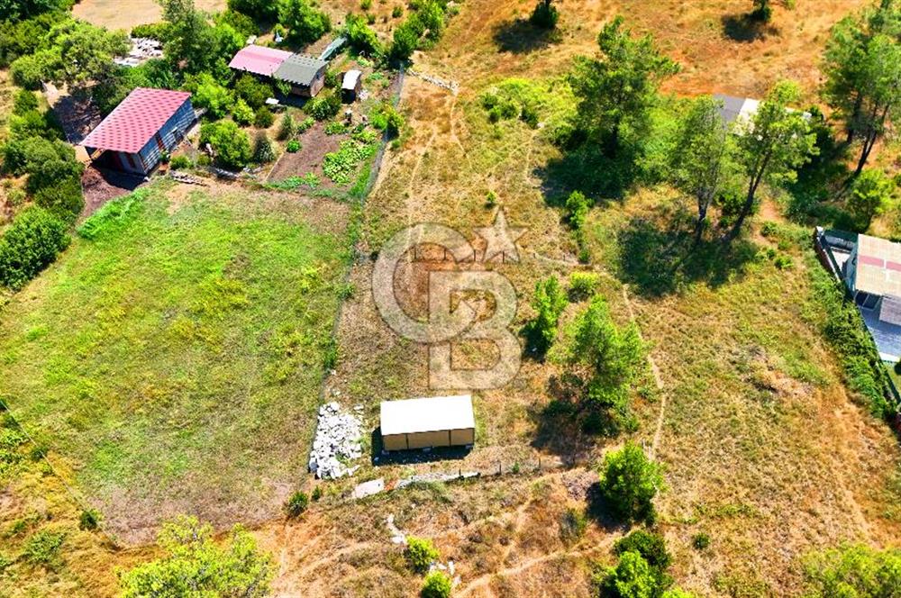 Marmaris Değirmenyanı'nda Satılık 558 m² Tarla