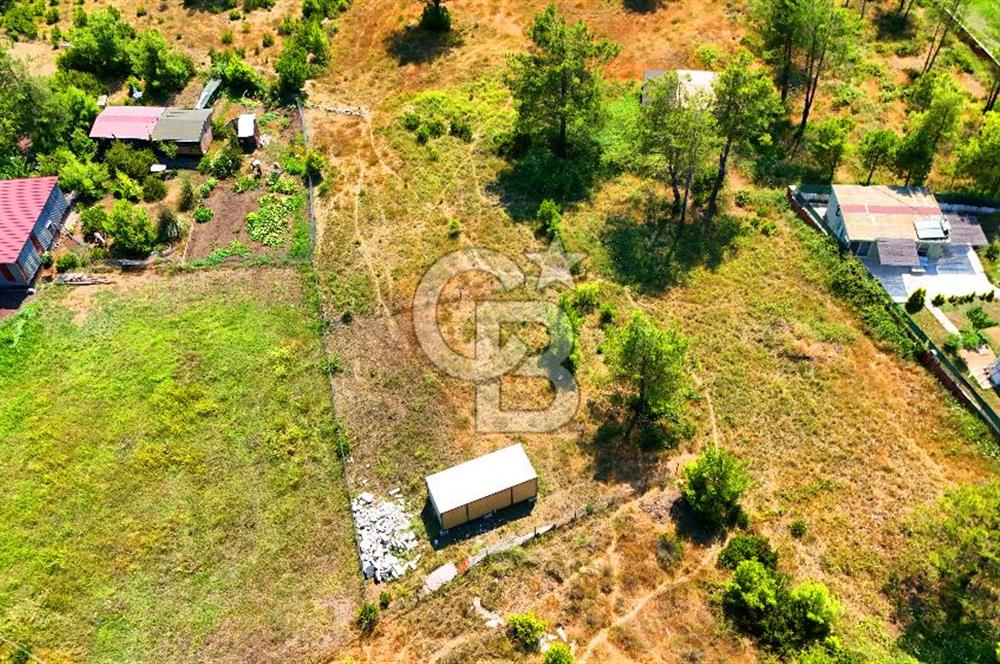 Marmaris Değirmenyanı'nda Satılık 558 m² Tarla
