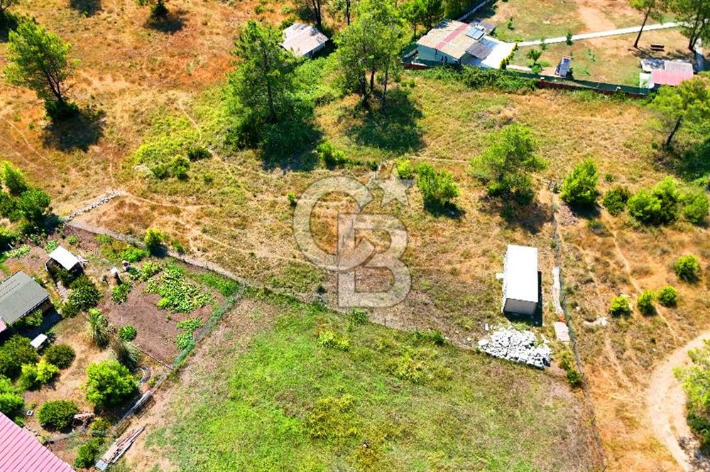 Marmaris Değirmenyanı'nda Satılık 558 m² Tarla