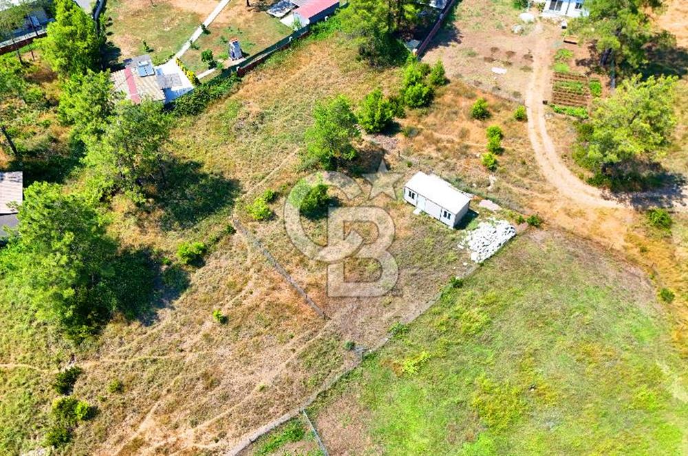Marmaris Değirmenyanı'nda Satılık 558 m² Tarla