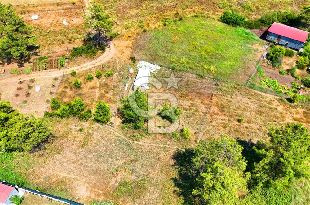 Marmaris Değirmenyanı'nda Satılık 558 m² Tarla