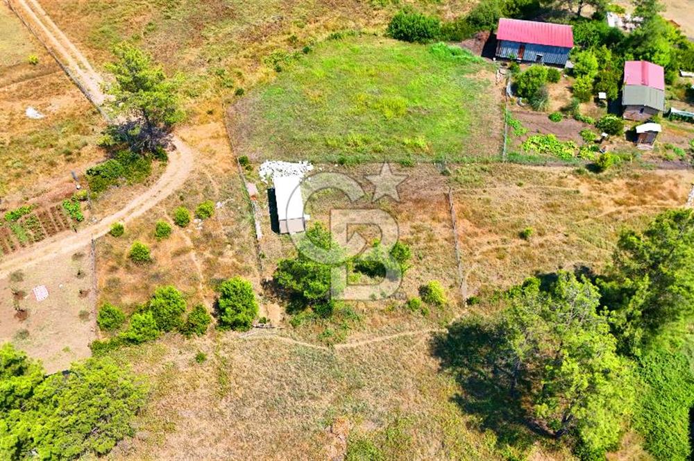 Marmaris Değirmenyanı'nda Satılık 558 m² Tarla