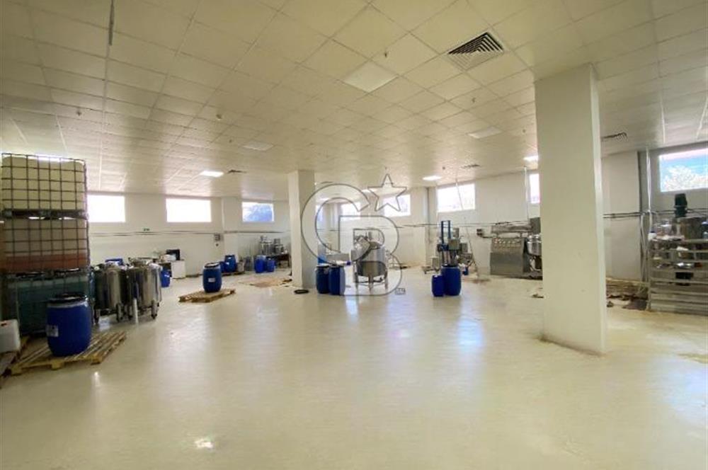 İzmir İTOP OSB'de Satılık Köşe Parsel Fabrika