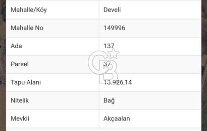 İZMİR MENDERES'TE SATILIK TARLA