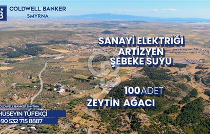 İZMİR FOÇA YENİKÖY' DE   ETRAFI TAŞ DUVAR ÖRÜLÜ SATILIK 39.000m2 TARLA