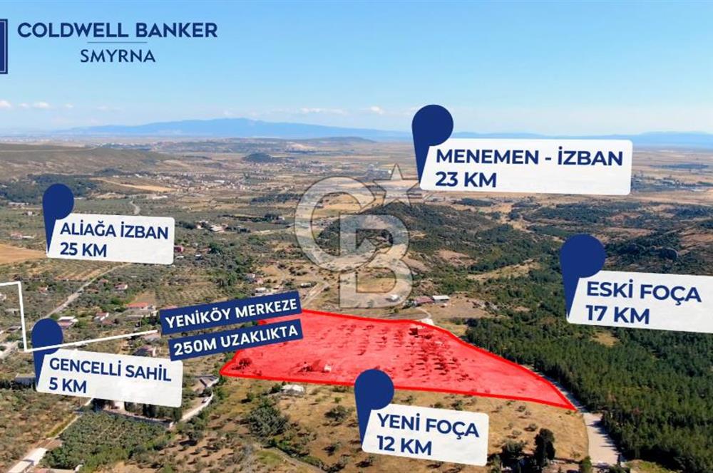 İZMİR FOÇA YENİKÖY' DE   ETRAFI TAŞ DUVAR ÖRÜLÜ SATILIK 39.000m2 TARLA