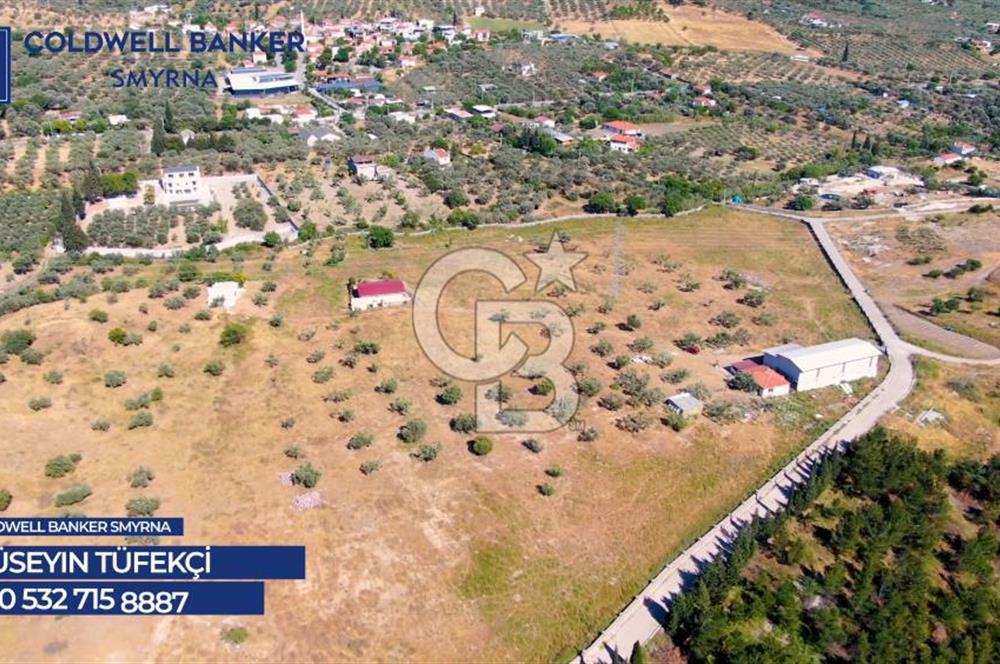 İZMİR FOÇA YENİKÖY' DE   ETRAFI TAŞ DUVAR ÖRÜLÜ SATILIK 39.000m2 TARLA