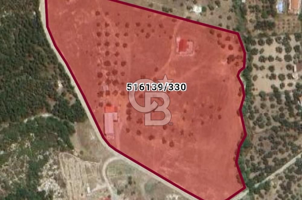 İZMİR FOÇA YENİKÖY' DE   ETRAFI TAŞ DUVAR ÖRÜLÜ SATILIK 39.000m2 TARLA