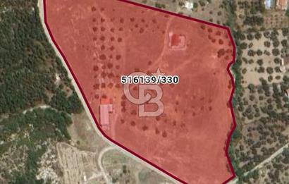 İZMİR FOÇA YENİKÖY' DE   ETRAFI TAŞ DUVAR ÖRÜLÜ SATILIK 39.000m2 TARLA