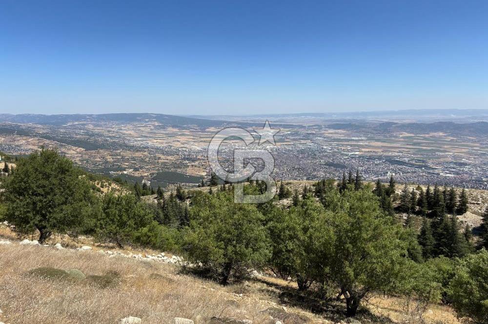 CB'DEN TEK TAPU (2.567m2) KAHRAMANMARAŞ MANZARALI SATILIK BAHÇE