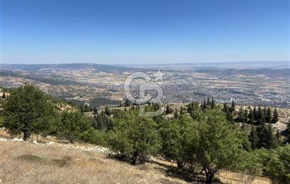 CB'DEN TEK TAPU (2.567m2) KAHRAMANMARAŞ MANZARALI SATILIK BAHÇE