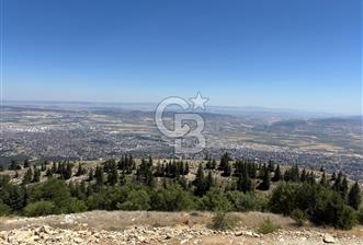 CB'DEN TEK TAPU (2.567m2) KAHRAMANMARAŞ MANZARALI SATILIK BAHÇE