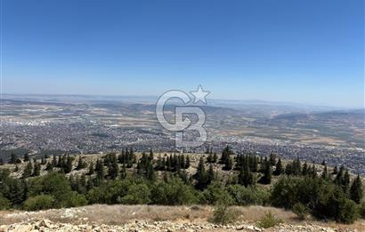CB'DEN TEK TAPU (2.567m2) KAHRAMANMARAŞ MANZARALI SATILIK BAHÇE