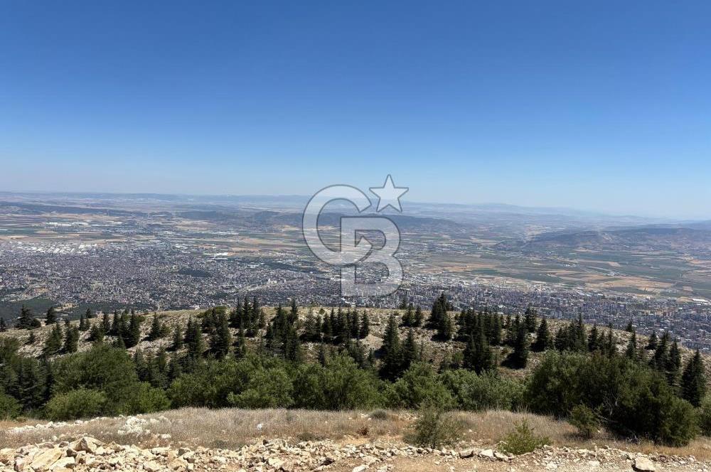 CB'DEN TEK TAPU (2.567m2) KAHRAMANMARAŞ MANZARALI SATILIK BAHÇE