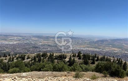 CB'DEN TEK TAPU (2.567m2) KAHRAMANMARAŞ MANZARALI SATILIK BAHÇE