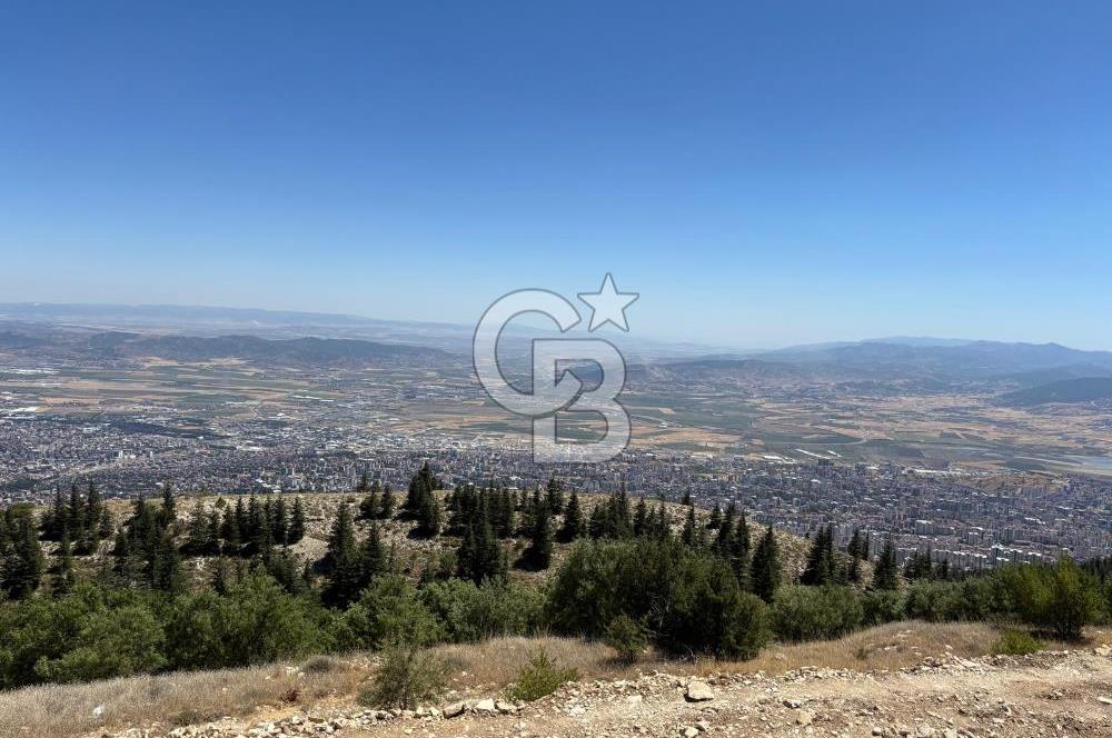 CB'DEN TEK TAPU (2.567m2) KAHRAMANMARAŞ MANZARALI SATILIK BAHÇE