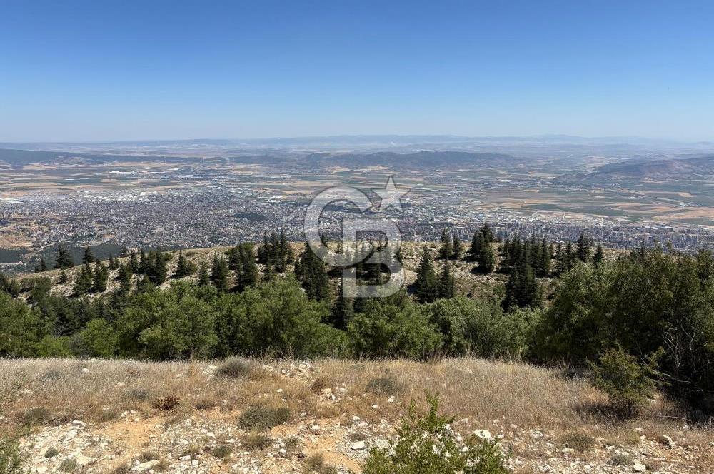CB'DEN TEK TAPU (2.567m2) KAHRAMANMARAŞ MANZARALI SATILIK BAHÇE
