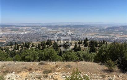 CB'DEN TEK TAPU (2.567m2) KAHRAMANMARAŞ MANZARALI SATILIK BAHÇE