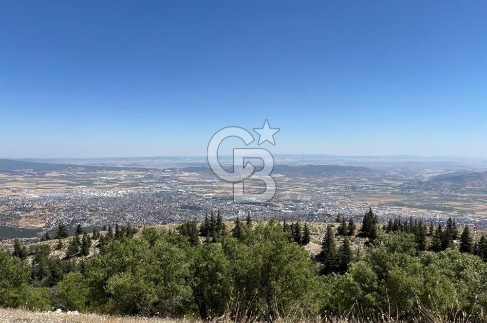 CB'DEN TEK TAPU (2.567m2) KAHRAMANMARAŞ MANZARALI SATILIK BAHÇE