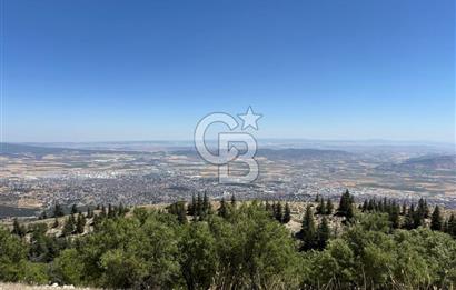 CB'DEN TEK TAPU (2.567m2) KAHRAMANMARAŞ MANZARALI SATILIK BAHÇE