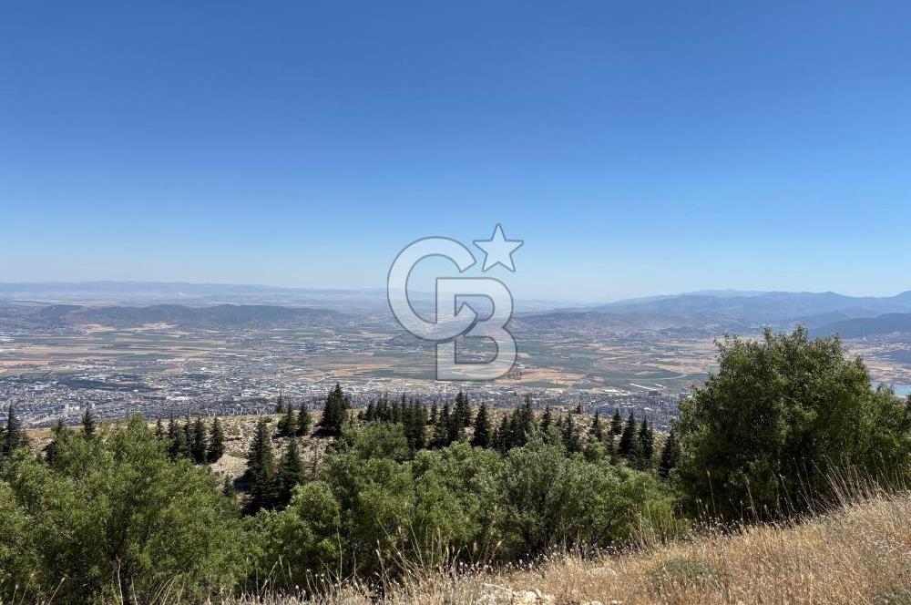 CB'DEN TEK TAPU (2.567m2) KAHRAMANMARAŞ MANZARALI SATILIK BAHÇE