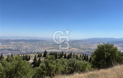 CB'DEN TEK TAPU (2.567m2) KAHRAMANMARAŞ MANZARALI SATILIK BAHÇE