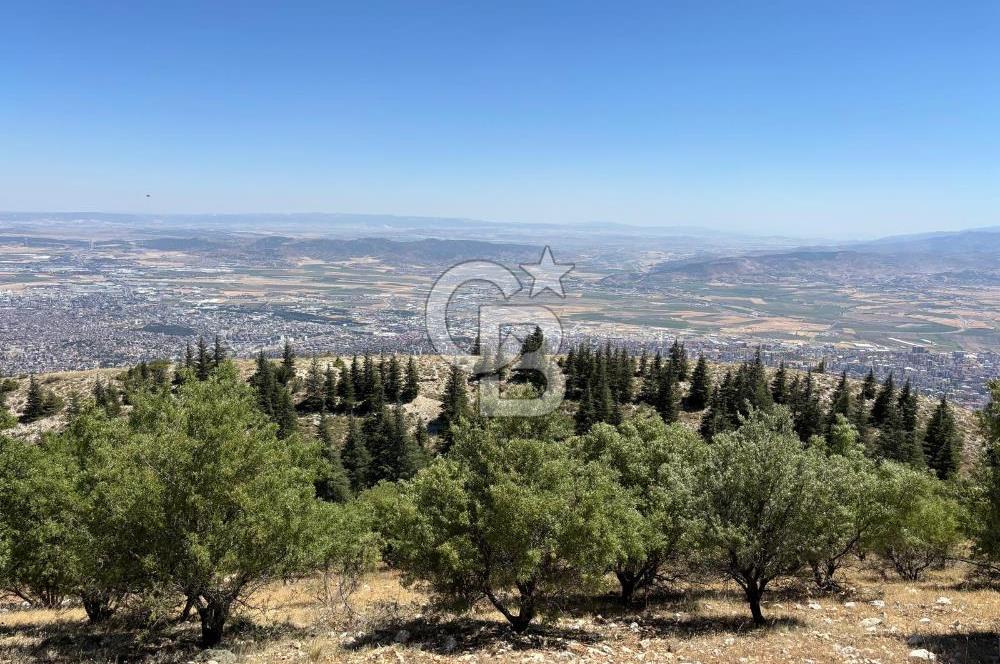 CB'DEN TEK TAPU (2.567m2) KAHRAMANMARAŞ MANZARALI SATILIK BAHÇE