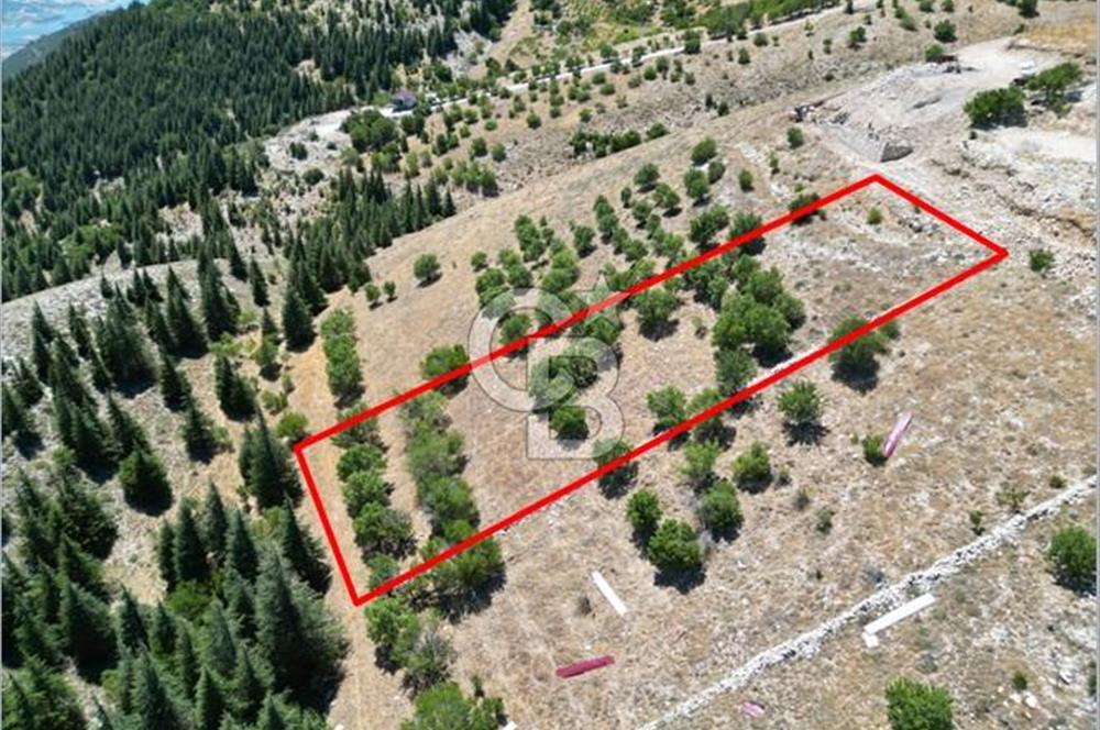 CB'DEN TEK TAPU (2.567m2) KAHRAMANMARAŞ MANZARALI SATILIK BAHÇE