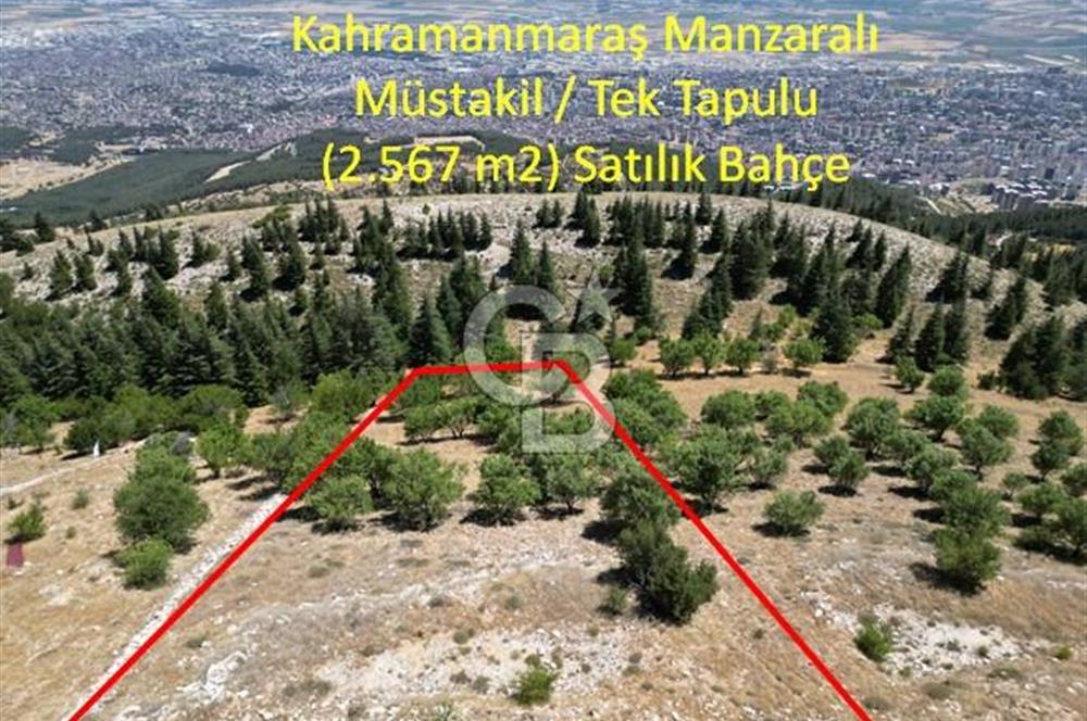 CB'DEN TEK TAPU (2.567m2) KAHRAMANMARAŞ MANZARALI SATILIK BAHÇE