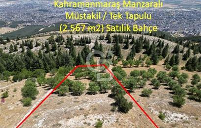 CB'DEN TEK TAPU (2.567m2) KAHRAMANMARAŞ MANZARALI SATILIK BAHÇE