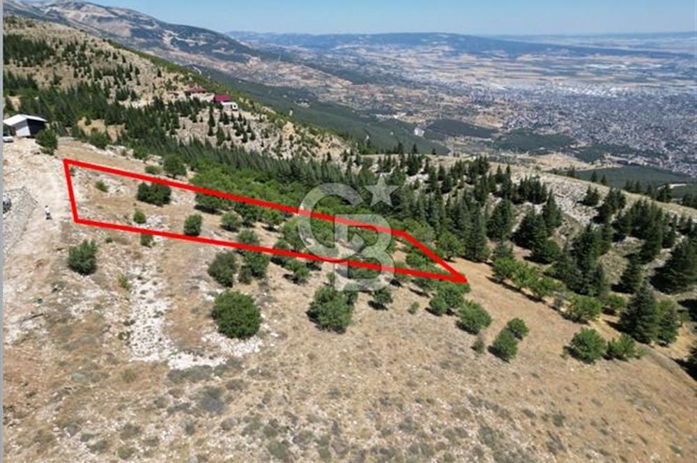 CB'DEN TEK TAPU (2.567m2) KAHRAMANMARAŞ MANZARALI SATILIK BAHÇE