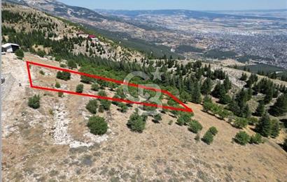 CB'DEN TEK TAPU (2.567m2) KAHRAMANMARAŞ MANZARALI SATILIK BAHÇE